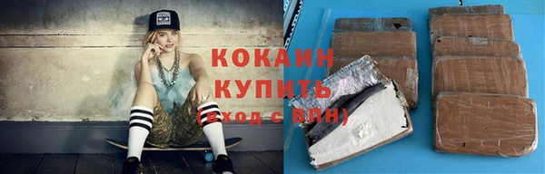 твердый Касимов