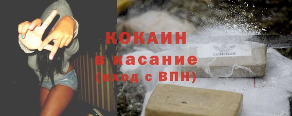 твердый Касимов
