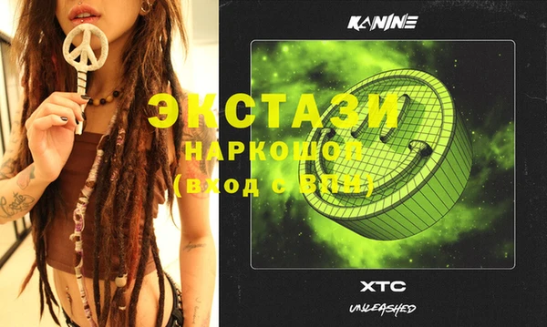 сатива Каменка