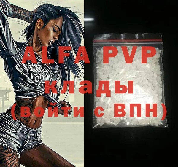 сатива Каменка