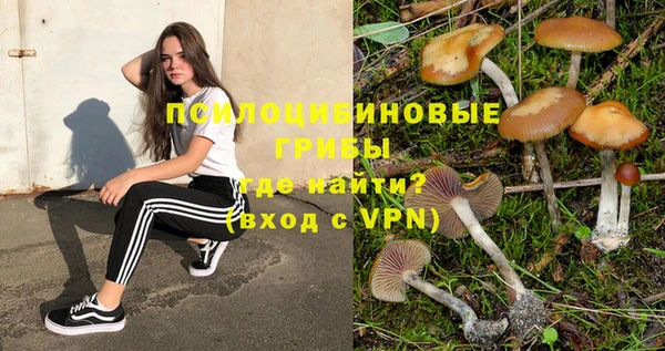 mdpv Карпинск